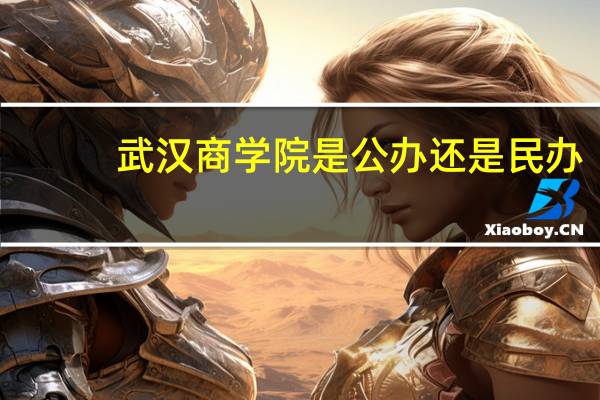 武汉商学院是公办还是民办