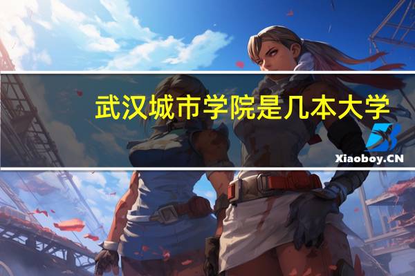 武汉城市学院是几本大学