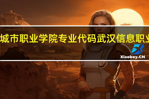 武汉城市职业学院专业代码 武汉信息职业技术学院