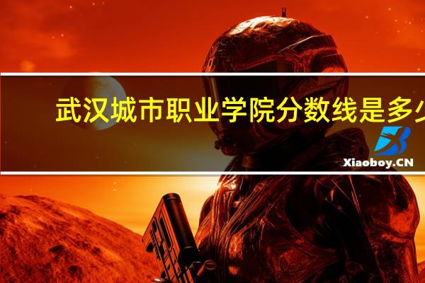 武汉城市职业学院分数线是多少