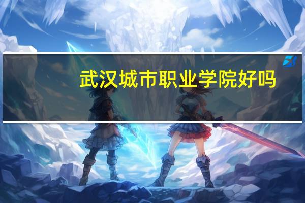 武汉城市职业学院好吗