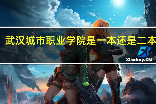 武汉城市职业学院是一本还是二本大学