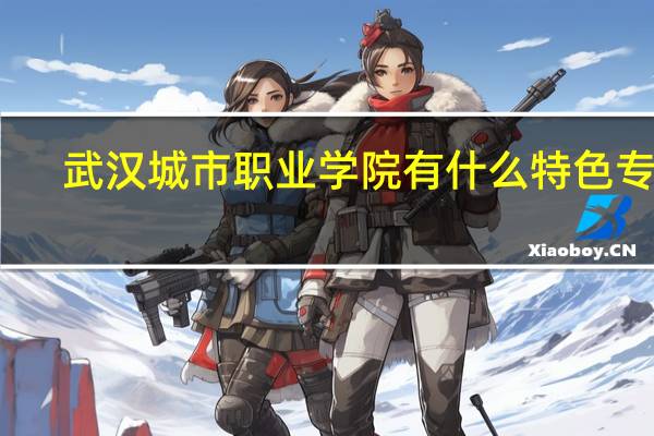 武汉城市职业学院有什么特色专业