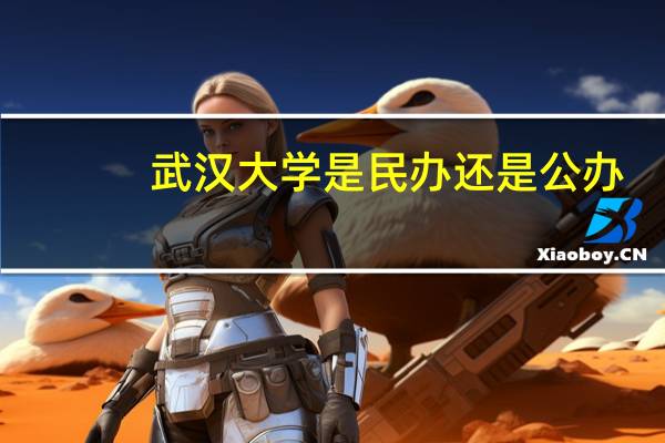 武汉大学是民办还是公办