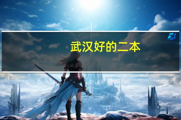 武汉好的二本
