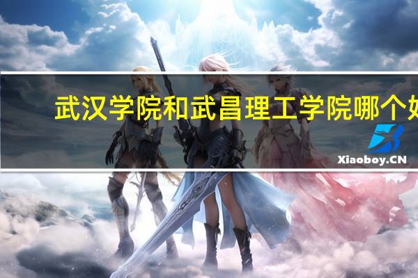 武汉学院和武昌理工学院哪个好