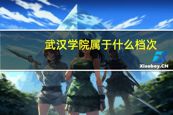 武汉学院属于什么档次