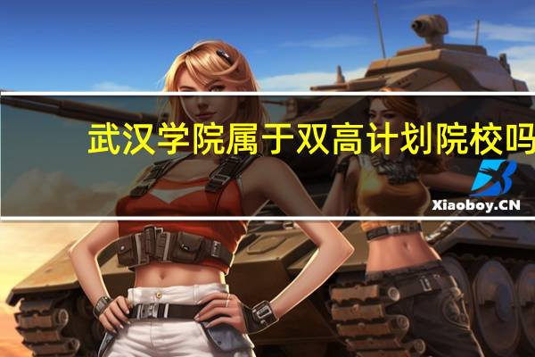 武汉学院属于双高计划院校吗