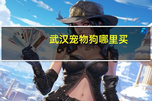 武汉宠物狗哪里买