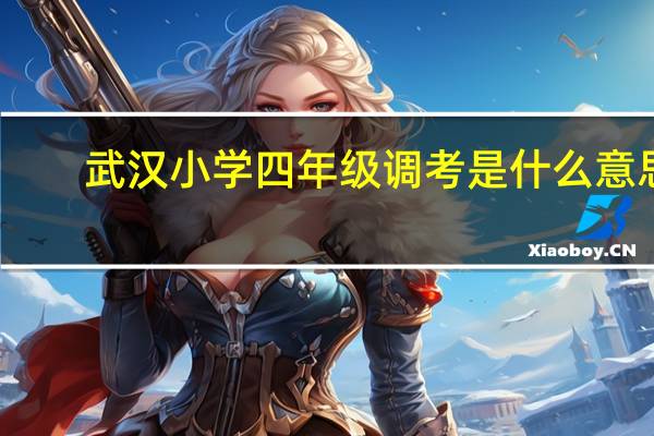 武汉小学四年级调考是什么意思