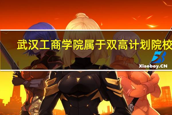 武汉工商学院属于双高计划院校吗