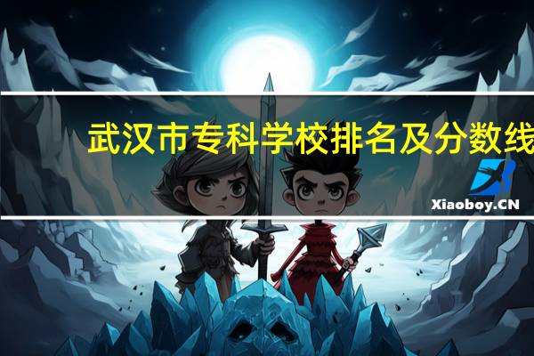 武汉市专科学校排名及分数线