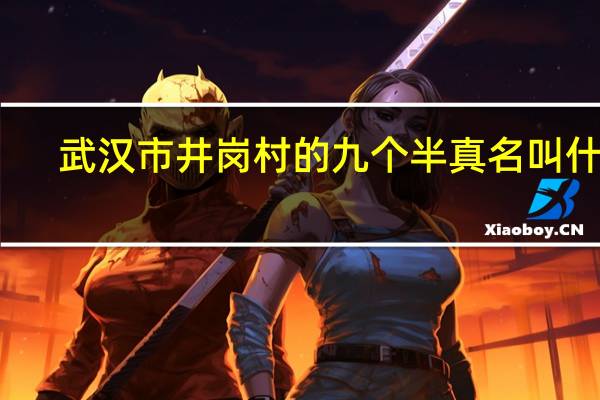 武汉市井岗村的九个半真名叫什么
