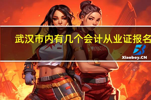 武汉市内有几个会计从业证报名点
