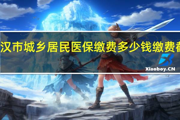武汉市城乡居民医保缴费多少钱　缴费截止时间