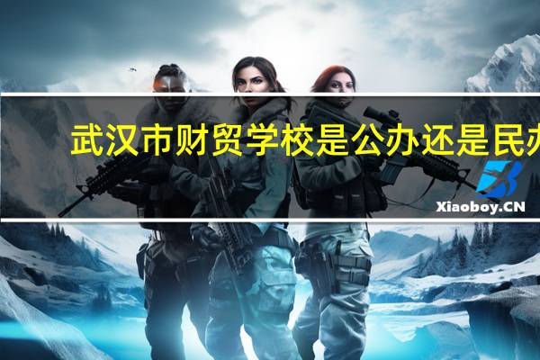 武汉市财贸学校是公办还是民办