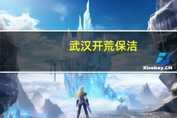 武汉开荒保洁（关于武汉开荒保洁的介绍）