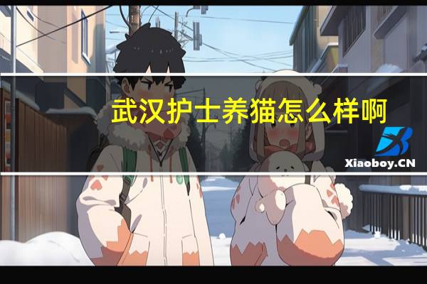 武汉护士养猫怎么样啊