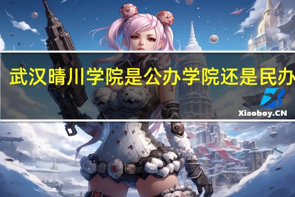 武汉晴川学院是公办学院还是民办学院