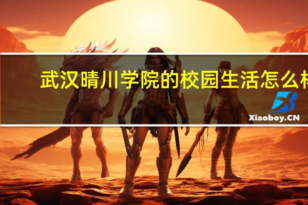 武汉晴川学院的校园生活怎么样
