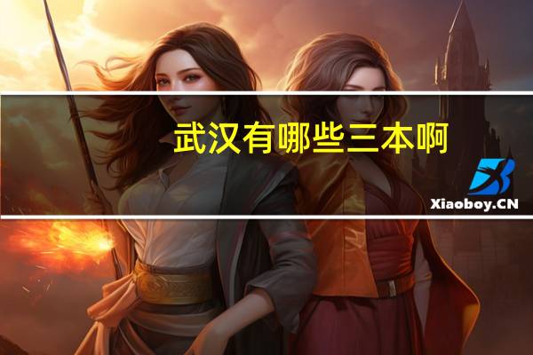 武汉有哪些三本啊
