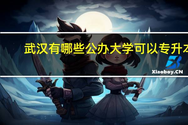 武汉有哪些公办大学可以专升本