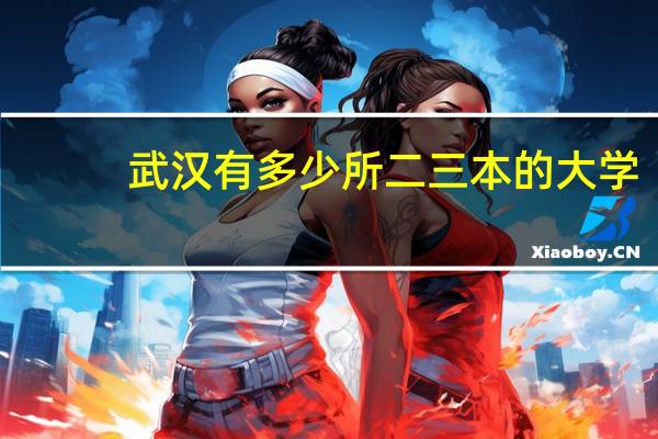 武汉有多少所二三本的大学