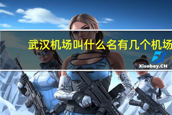 武汉机场叫什么名有几个机场（武汉机场叫什么名字）