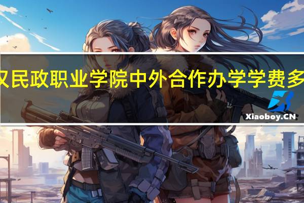 武汉民政职业学院中外合作办学学费多少钱一年