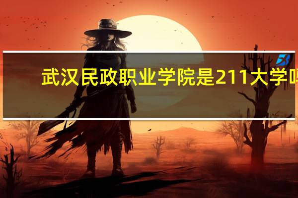 武汉民政职业学院是211大学吗