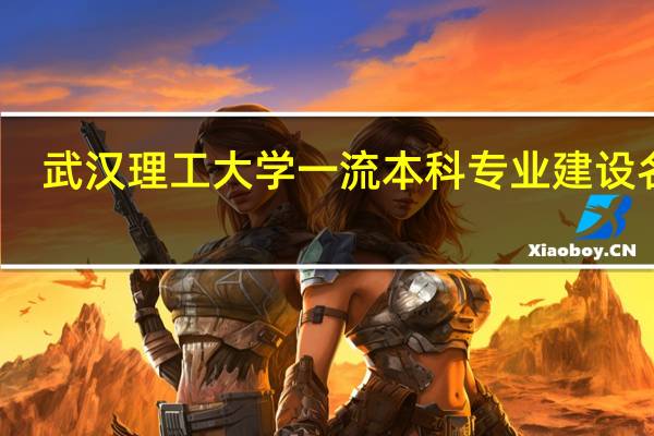 武汉理工大学一流本科专业建设名单