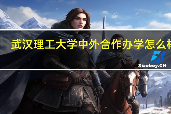 武汉理工大学中外合作办学怎么样啊