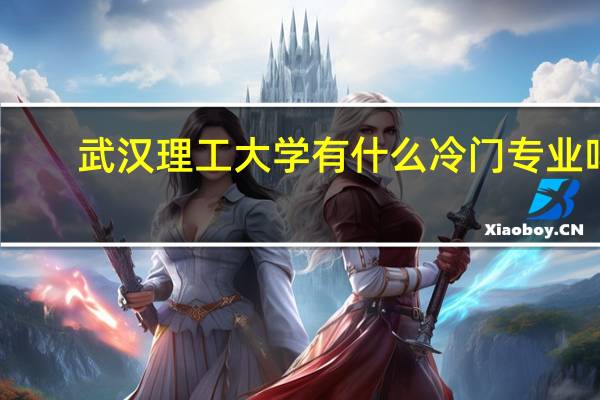 武汉理工大学有什么冷门专业吗