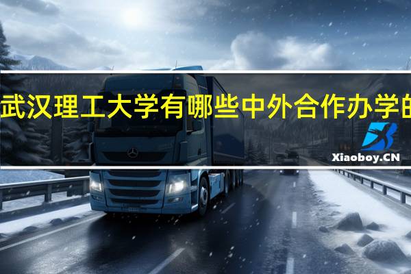 武汉理工大学有哪些中外合作办学的专业