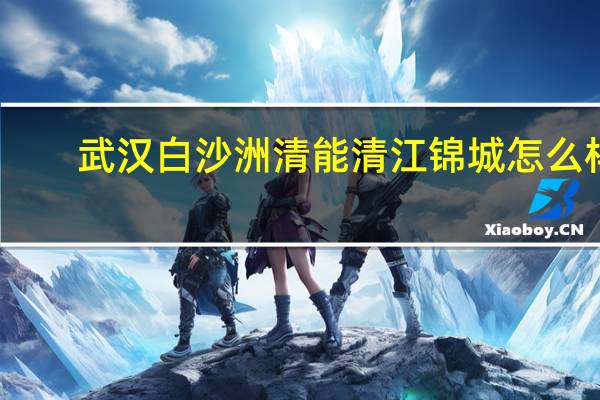 武汉白沙洲清能清江锦城怎么样