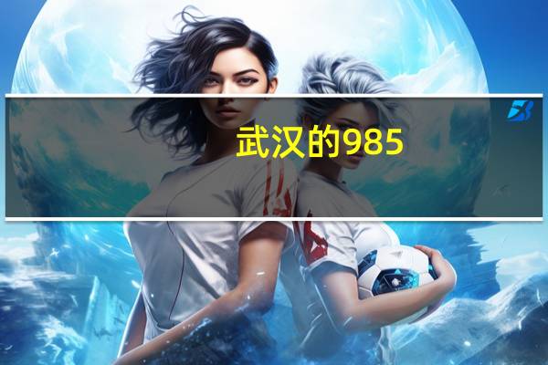 武汉的985