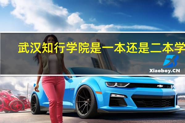 武汉知行学院是一本还是二本学校