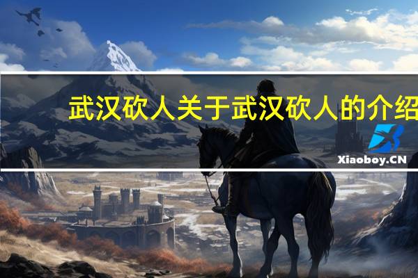 武汉砍人 关于武汉砍人的介绍
