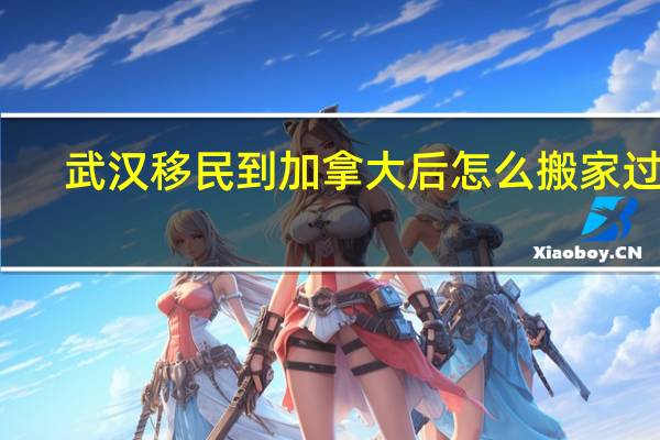 武汉移民到加拿大后怎么搬家过去