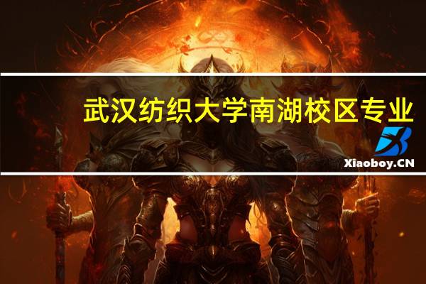 武汉纺织大学南湖校区专业