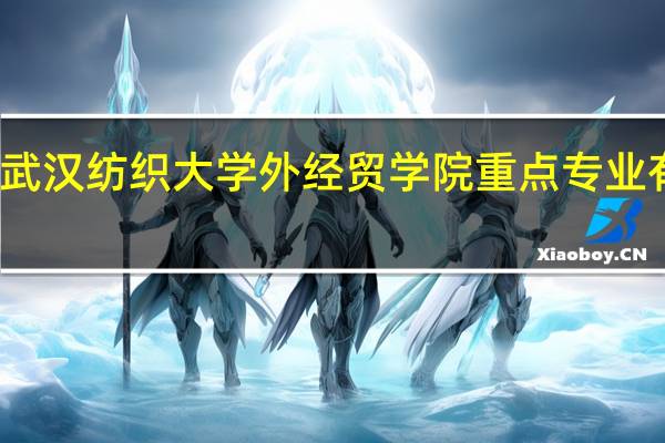 武汉纺织大学外经贸学院重点专业有哪些