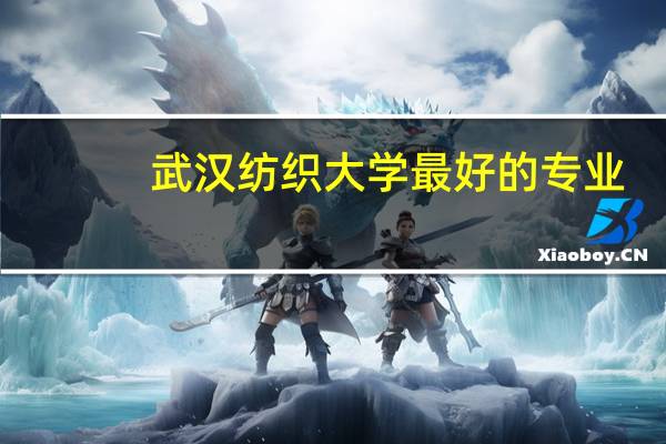 武汉纺织大学最好的专业