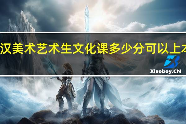 武汉美术艺术生文化课多少分可以上本科大学