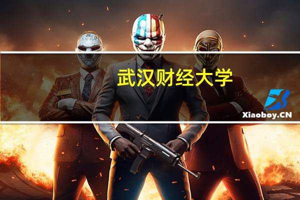 武汉财经大学