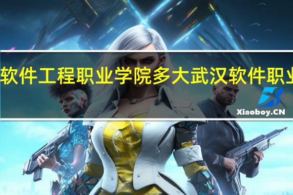 武汉软件工程职业学院多大 武汉软件职业技术学院