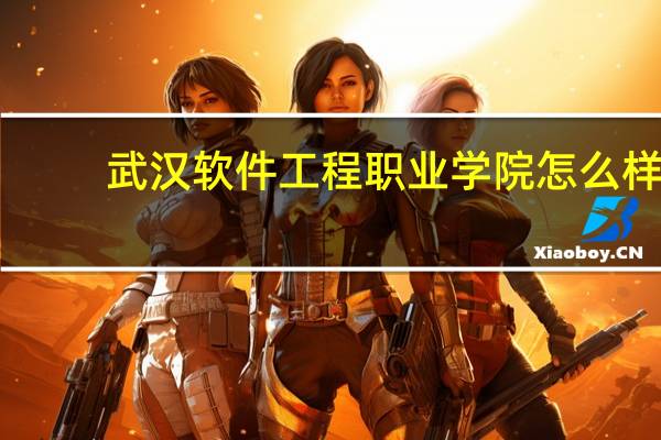 武汉软件工程职业学院怎么样