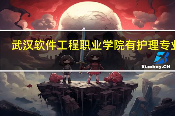武汉软件工程职业学院有护理专业吗