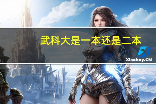 武科大是一本还是二本
