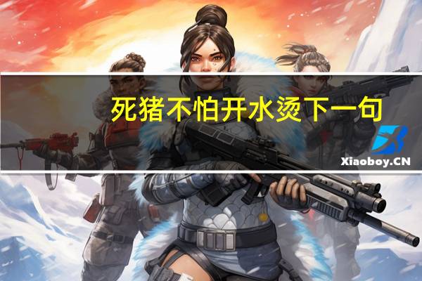 死猪不怕开水烫下一句（死猪不怕开水烫）
