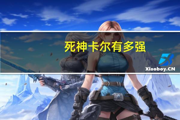 死神卡尔有多强（死神卡尔萨斯多少钱）